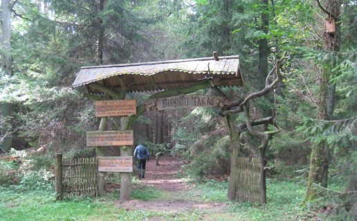 34. girinio takas.jpg